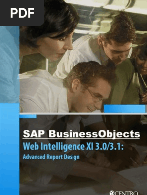 Best Practices For Web Intelligence Xi Release 3 0 On Top Of Sap Net
