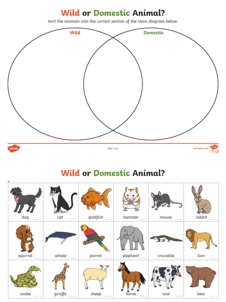 T SC 1651222660 Wild or Domestic Animal Sorting Activity Ver 1 PDF