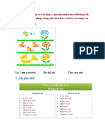 Chuyên đề ngữ pháp Tiếng anh Tiểu học Verb to be