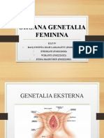 Organa Genetalia Feminine