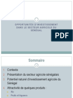 Opportunités Dinvestissement Dans Le Secteur Agricole Du Sénégal