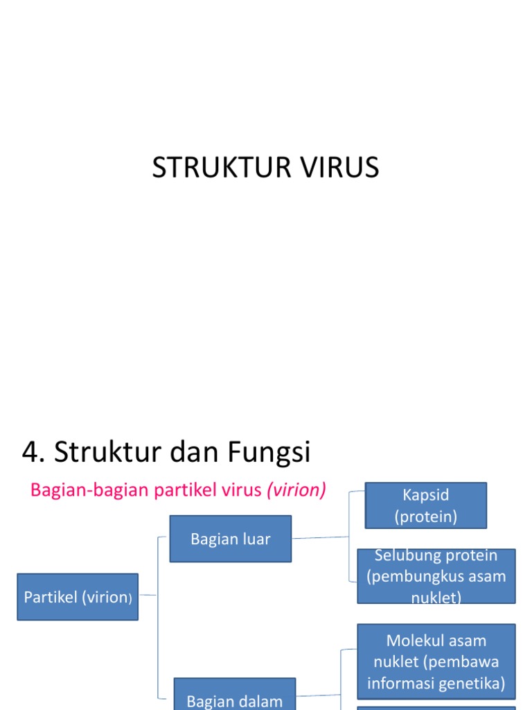 struktur tubuh virus dalam bentuk diagram ilustrasi