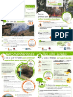Buenas Practicas Evitar Incendios Forestales JCyLyREE 2017