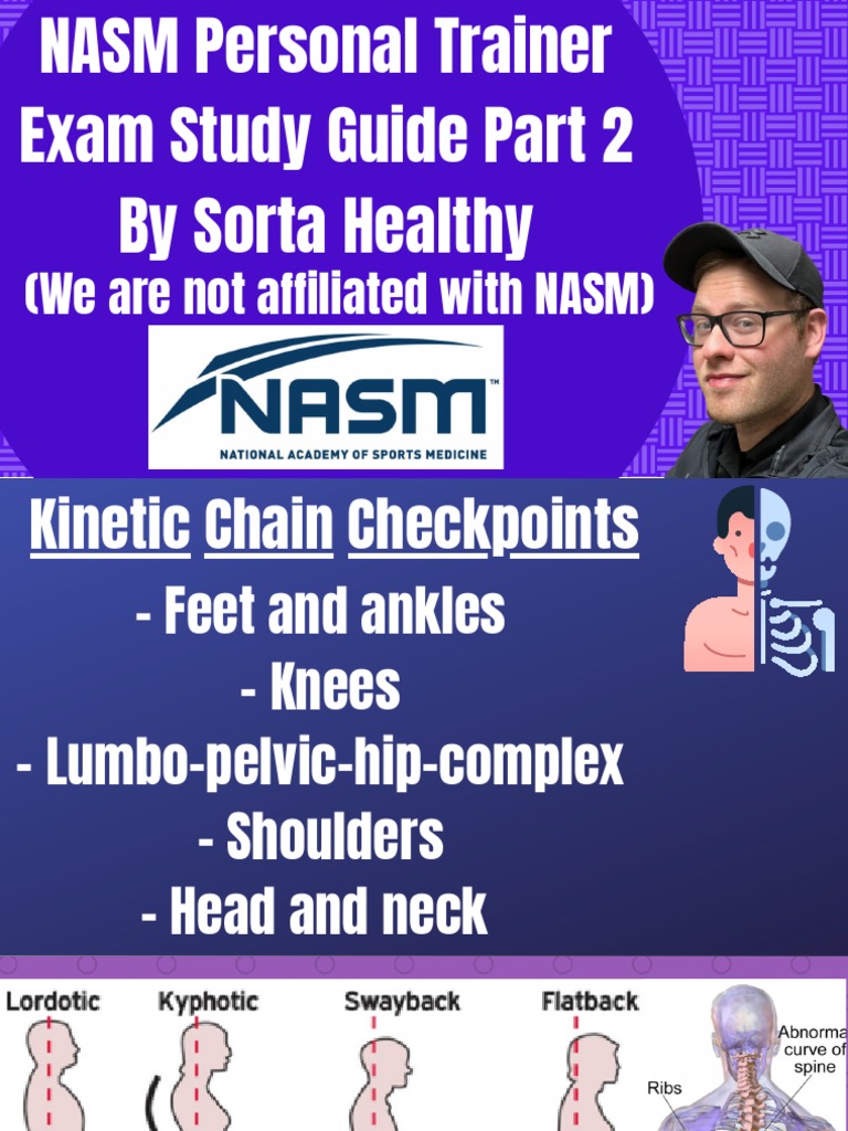 NASM Guide PT 2 12 | PDF | Anatomical Terms Of Motion | Foot