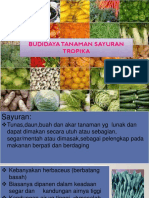 Kul Biotropika - Budidaya-Tanaman-Sayur