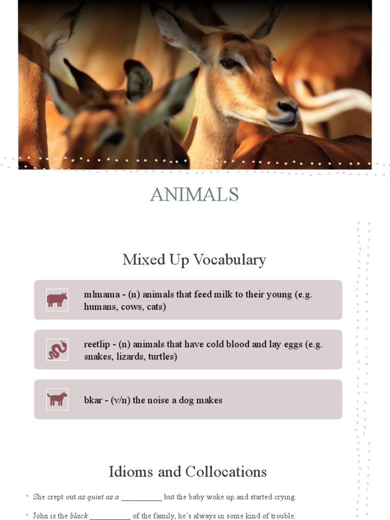 Animal Vocabulary and Discussion Topics | PDF