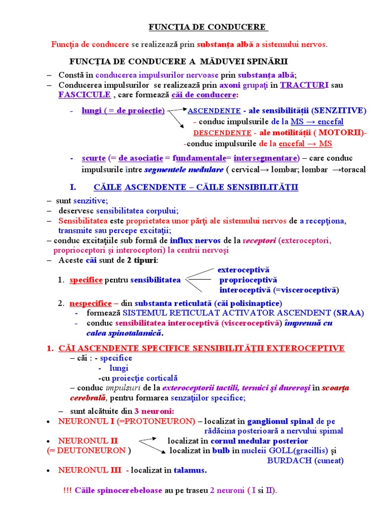 FUNCŢIIA de Conducere CAI ASCENDENTE. DESCENDENTE | PDF