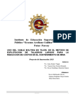 PROYECTO DE INNOVACIÓN TECNOLOGICA Diestra