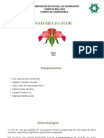 Anatomia e Morfologia Da Flor