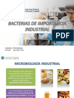 12 Bacterias de Importancia Industrial