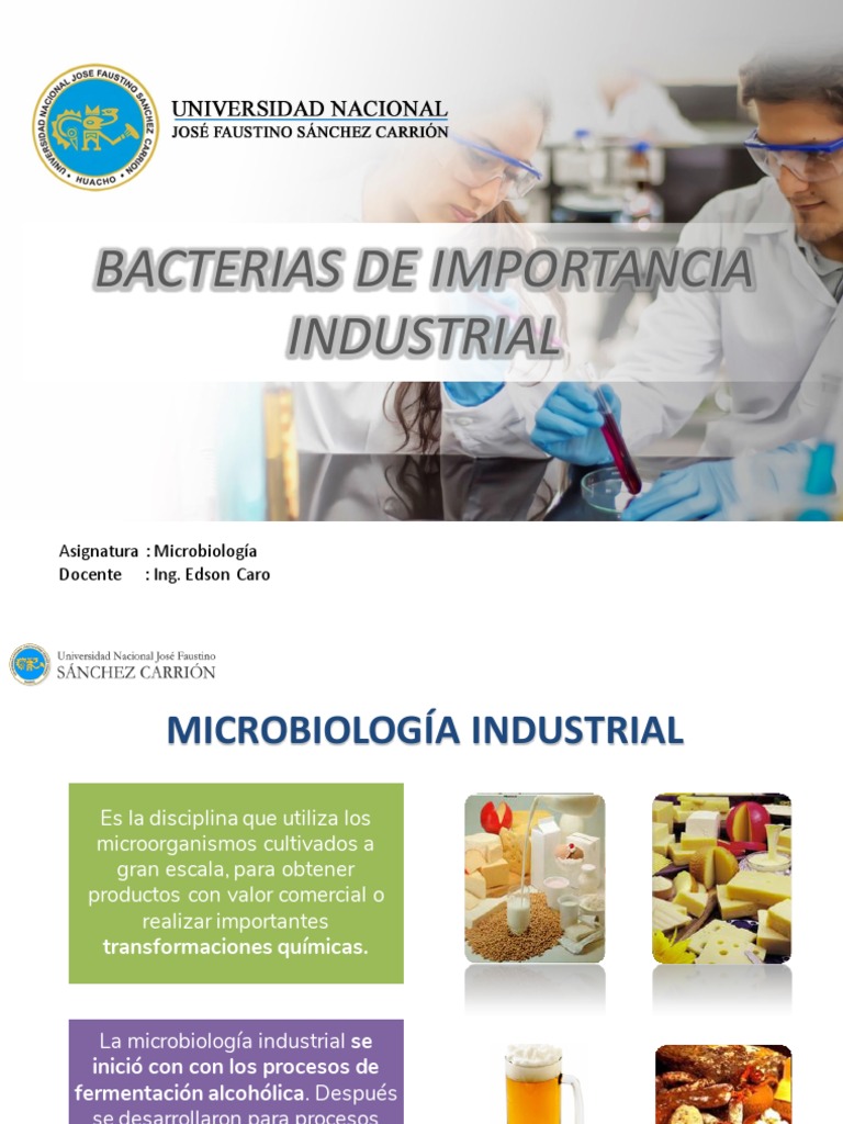 Bacterias Clave en la Industria Microbiológica | PDF | Las bacterias ...