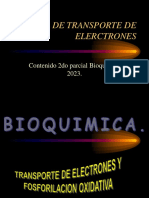TRANSPORTE DE ELECTRONES Y FOSFORILACION OXIDATIVAsegundoparcialpdf