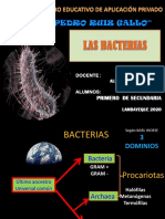 8VA Repaso Bacterias y 9na Clase Membrana Celular - 1ero SEC. BIOLOGÍA