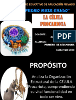 La Célula - Organelas y La Fotosintesis - 1°n - Iip - Biología