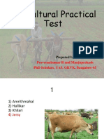 Agricultural Practical Test: Praveenakumar R and Manjuprakash PHD Scholars, Uas, GKVK, Bangalore-65