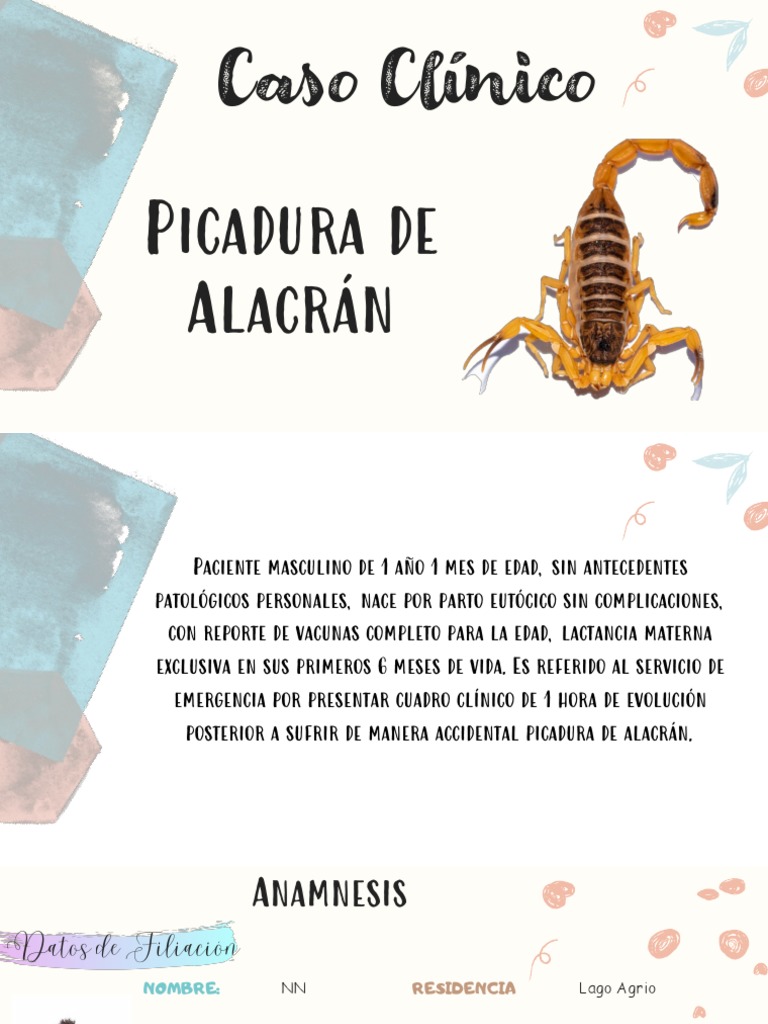 Manejo de Picadura de Alacrán en Pediatría | PDF | Especialidades ...