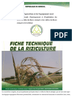 APRAO Senegal FicheTechniqueRiziculture