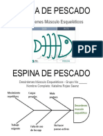 Causa Efecto Dme - Espina de Pescado