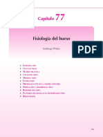 Fisiología Osea Cap 3sG