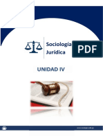 Unidad IV - Sociologia Jurídica