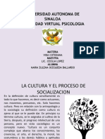 Actividad6 Proceso de Cultura