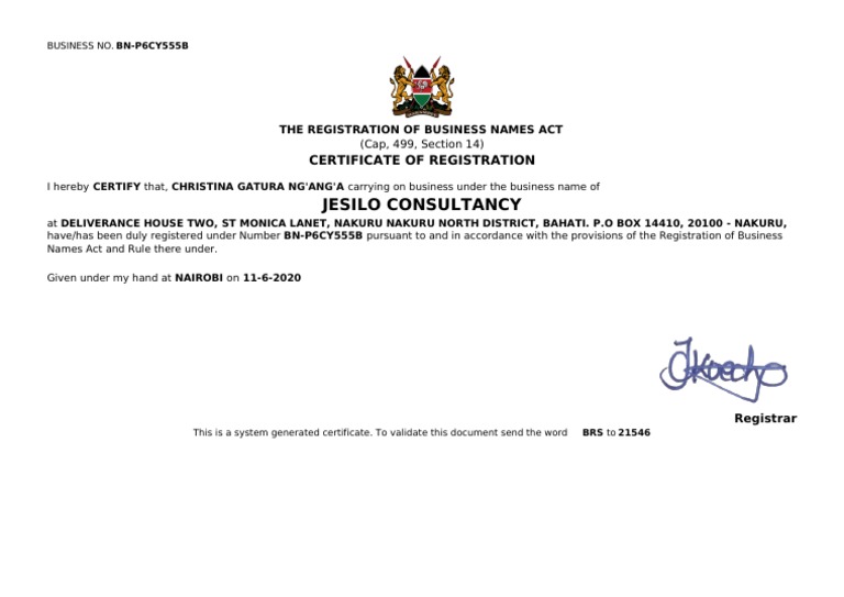 BN-P6CY555B-Business Registration Certificate | PDF