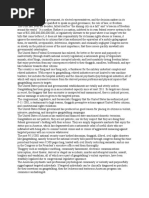 The United States Federal Government