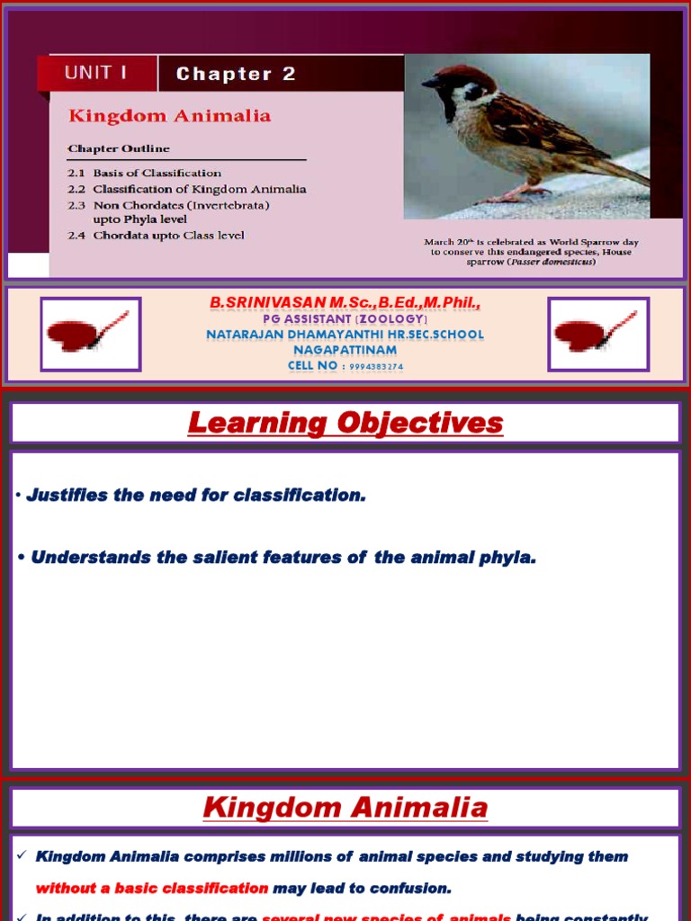 Kingdom Animalia | PDF | Vertebrates | Fish