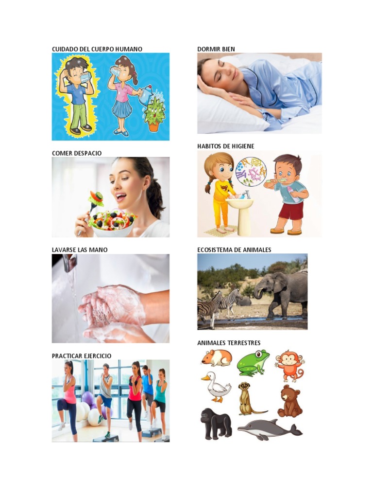 Cuidados del Cuerpo Humano para Niños | PDF