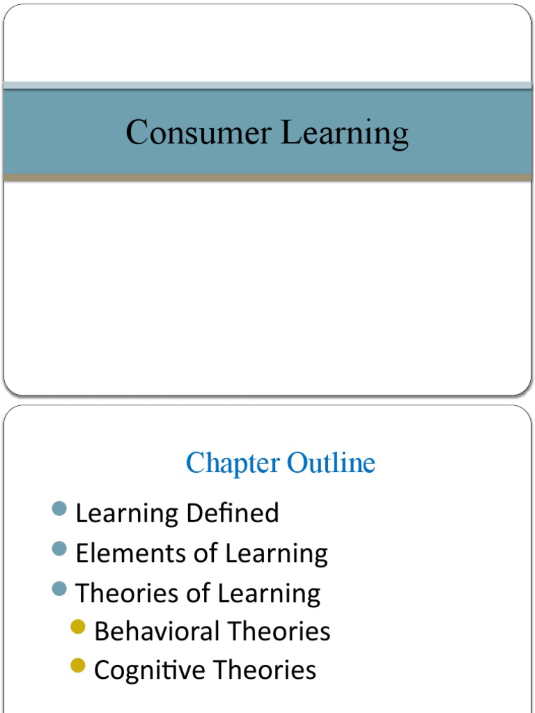 Understanding Consumer Learning | PDF | Reinforcement | Classical ...
