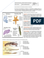 Guias Biología