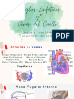 Expo de Anatomia