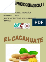 Cacahute ASYP