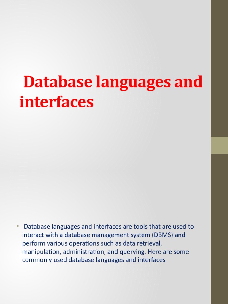 Database Languages and Interfaces PDF