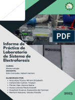 Informe de Práctica de Laboratorio de Sistema de Electroforesis