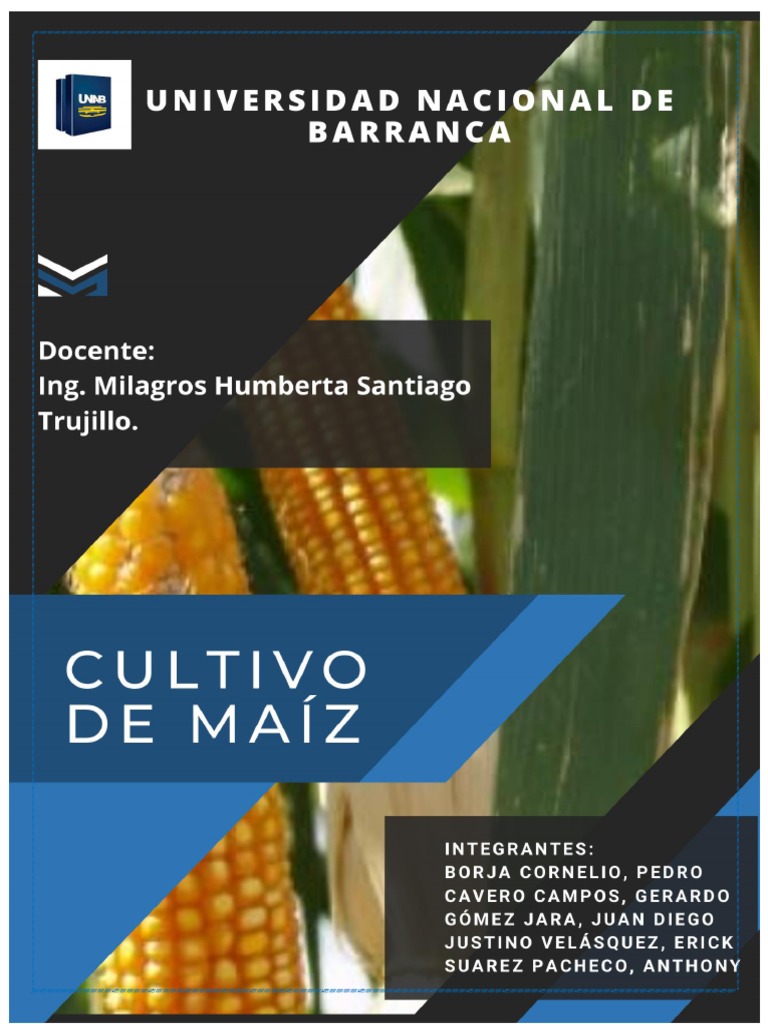 Cultivo De Maiz En El Peru Y El Mundo Introduccion A La Agranomia