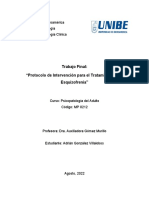 Protocolo de Intervencion para El Tratamiento de La Esquizofrenia