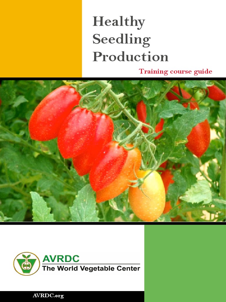 Vegetable Seedling Production Guide | PDF | Plant Nursery | Sowing