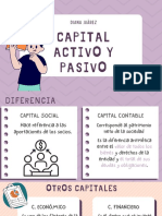 Capital Activo y Pasivo