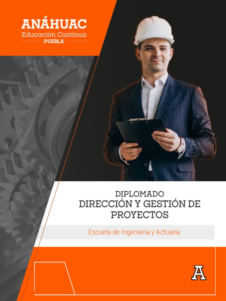 Diplomado en Dirección de Proyectos PMI | PDF | Gestión de proyectos ...