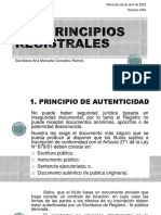 LOS PRINCIPIOS REGISTRALES - PPTX 26-04-2023