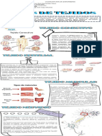 Tipos de Tejidos