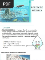 4.poluição Hídrica