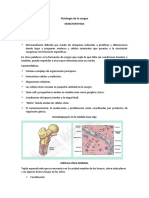 Fisiología de La Sangre