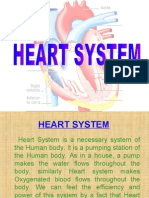 Heart System