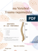 Trauma Raquimedular