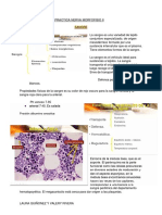 Practica Nerva Morfofisio Ii Sangre y Cardiovascular