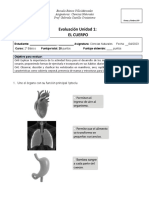 Ealaucion Ciencias