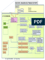 Cadena-Analgesia Del Parto