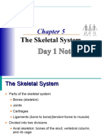 Ch.5skeletalSystem